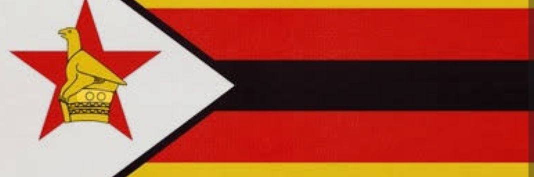 Dr Rugare EN Gumbo's banner
