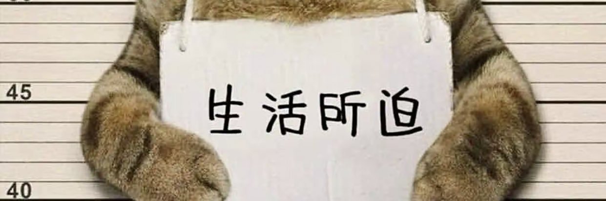 Yuanyu201225's banner