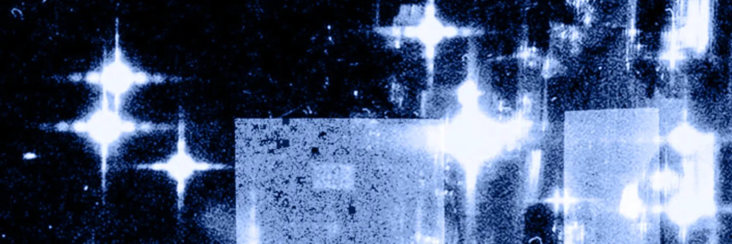 ⊹ ˖ the rot consumes all Ი𐑼's banner