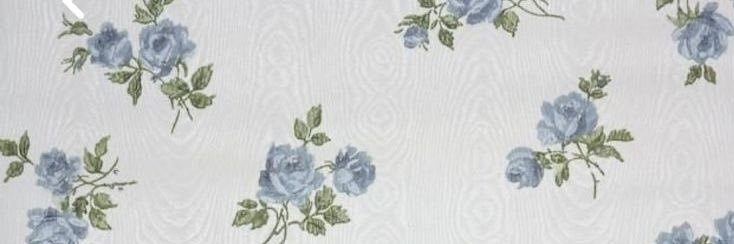 絶世の美女たち's banner