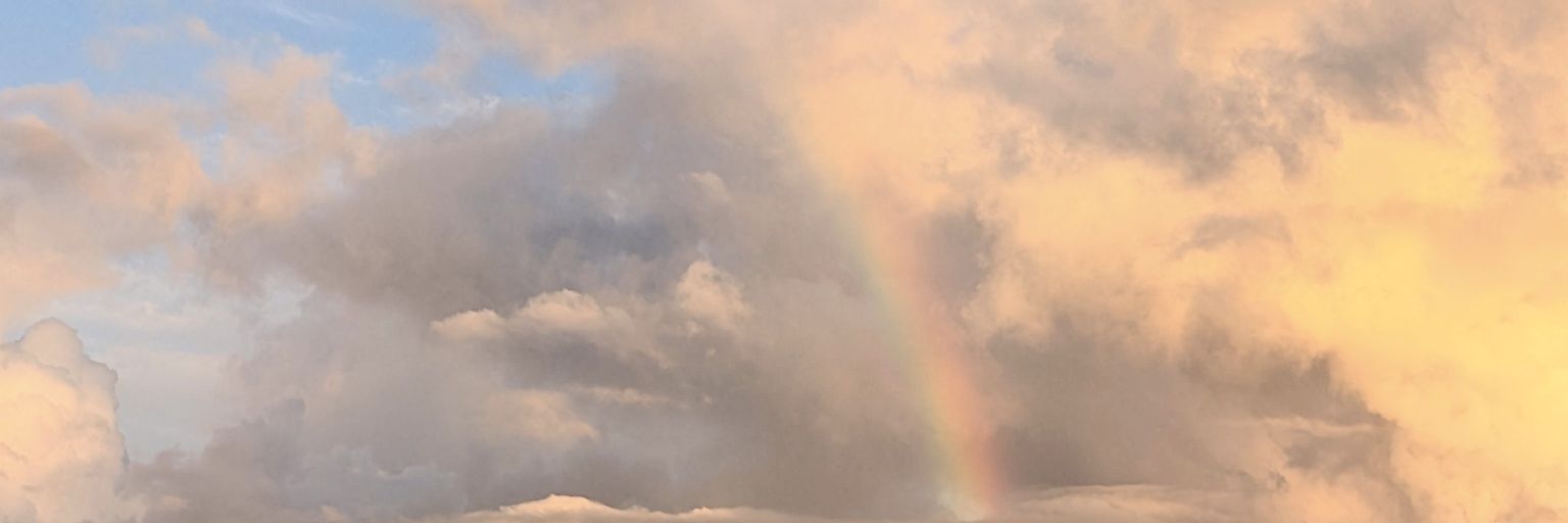 Katerina🌿's banner