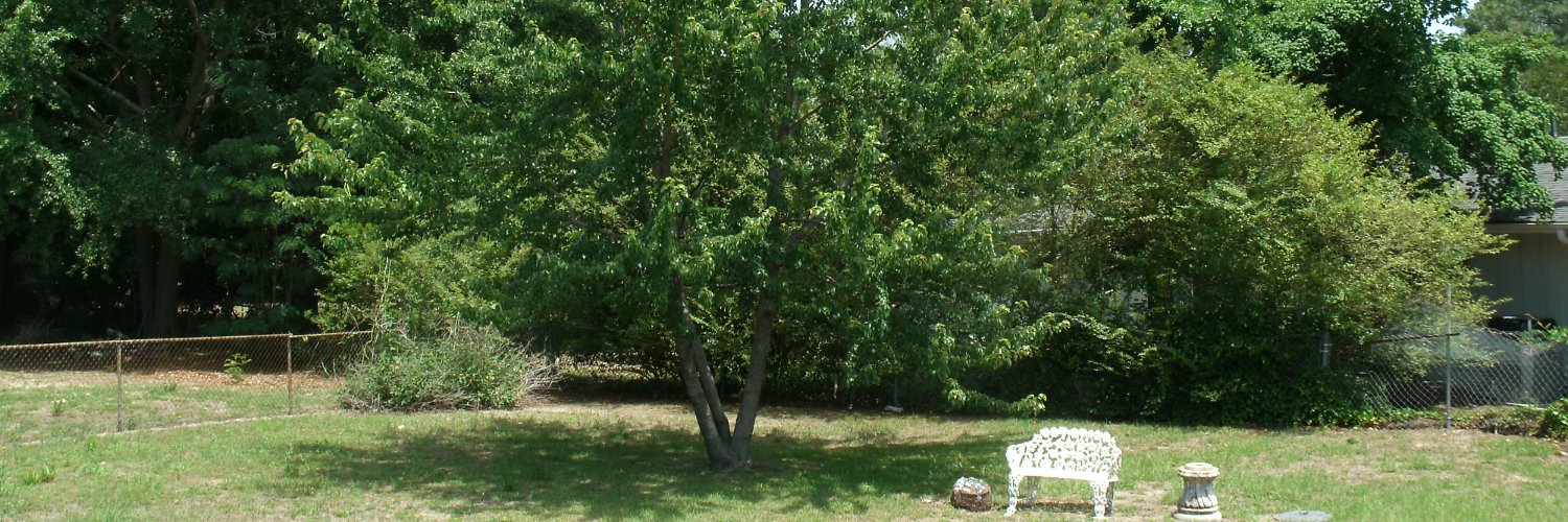 𝕂𝕚𝕞's banner