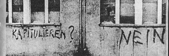 ϟentinel's banner