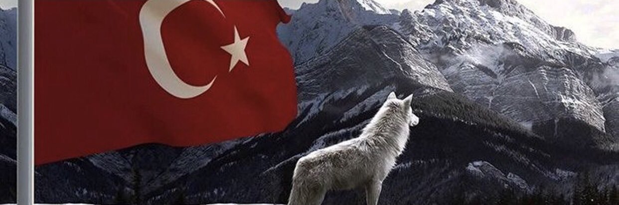 Mert's banner