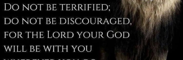 SherBear's banner