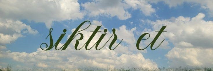 elazr's banner