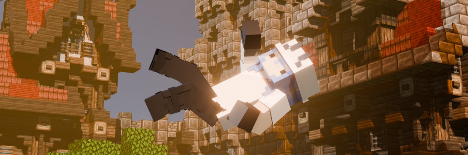 sye's banner