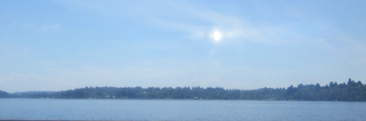 sye's banner