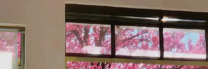 少女孕妇ki's banner