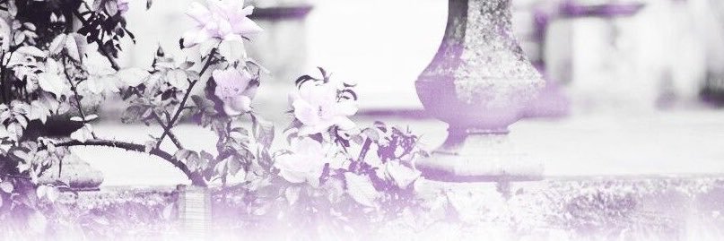 ezra ⟢'s banner