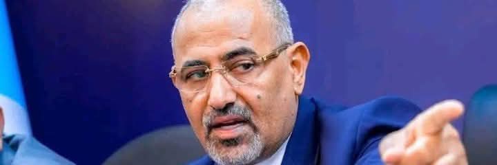 محمد الريامي's banner