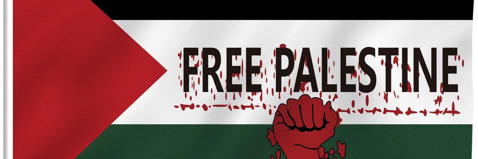Marty The Unrepentant Paddystinian 🇮🇪🇵🇸's banner
