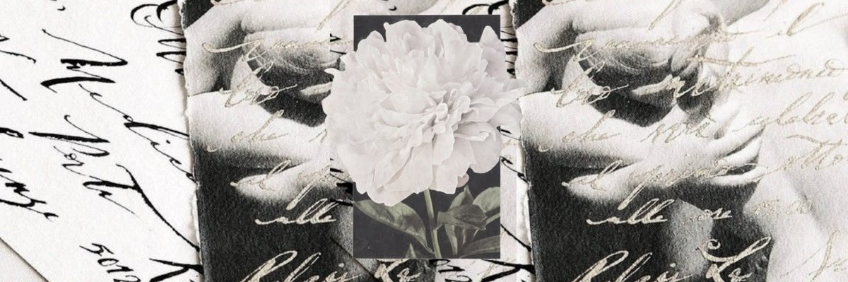 𓏲𝄢 lia 🦢's banner