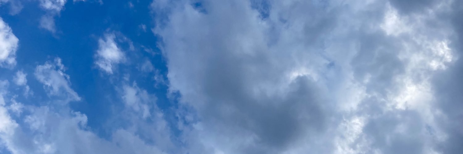 cici 🍑's banner
