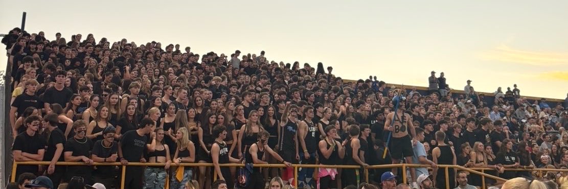 THE DEVILS DEN™️'s banner