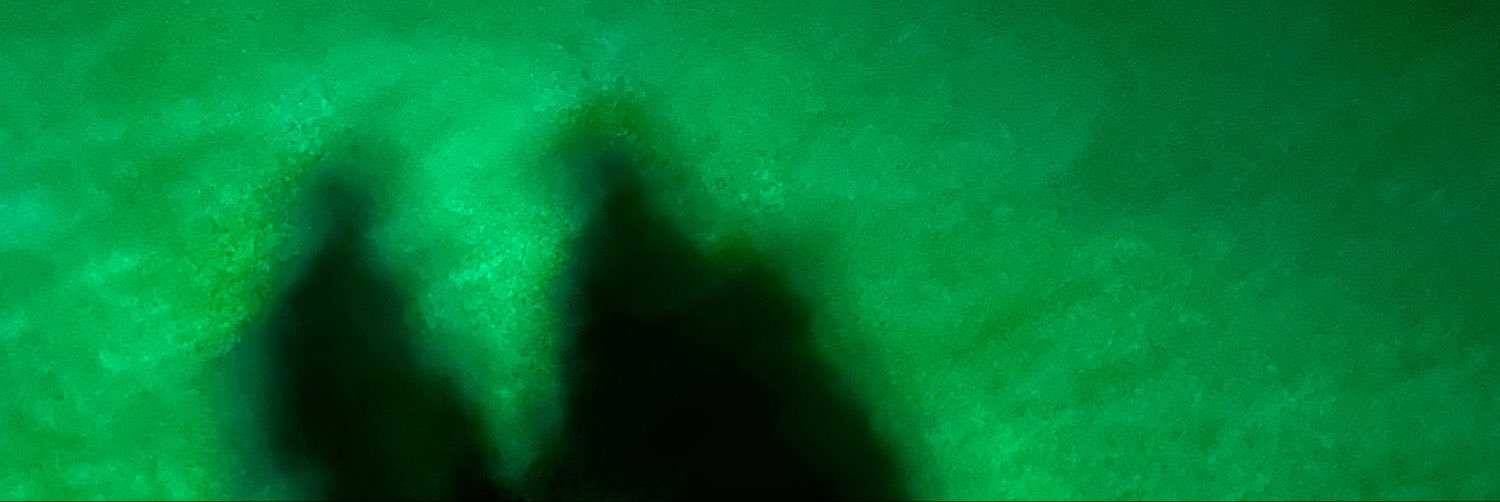 浅墓ぞんび's banner