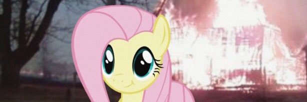 amy 🏳️‍⚧️'s banner