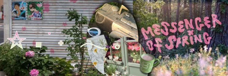 rayi 🍀˚.'s banner