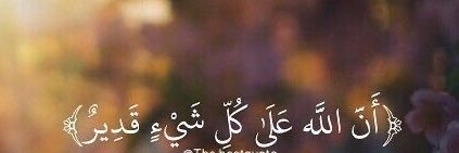 lolii - لوليتا's banner