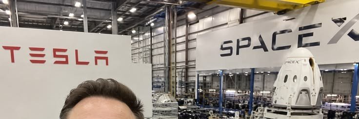 Elon Musk Observer's banner