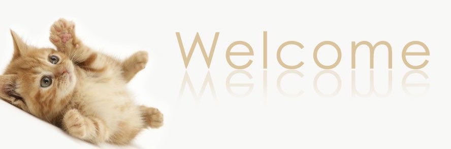 daveeee's banner