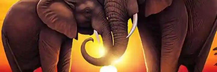 SirNormal 🌠's banner