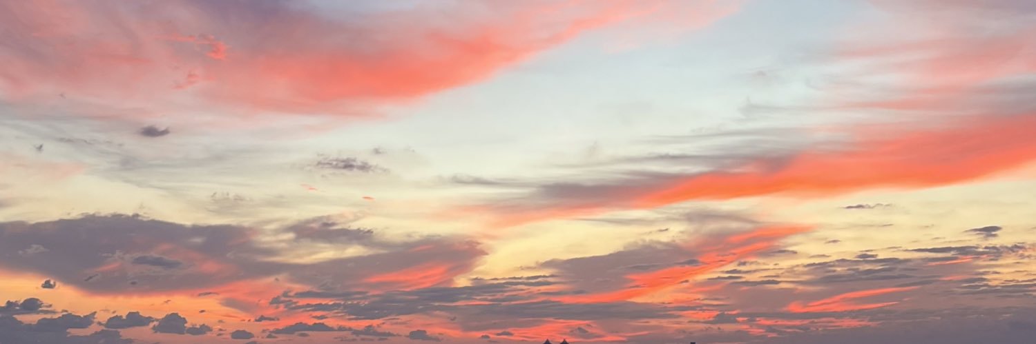 Michelle Ivana's banner