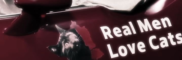 iris 🐈‍⬛'s banner