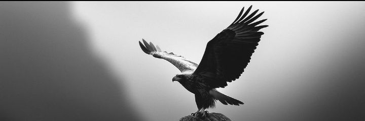 Executioner.🥷🏾's banner