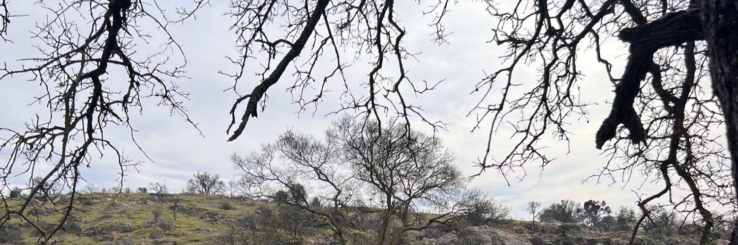 𝕄𝕒𝕣𝕚 𝕄𝕠𝕠𝕣𝕖🍓's banner