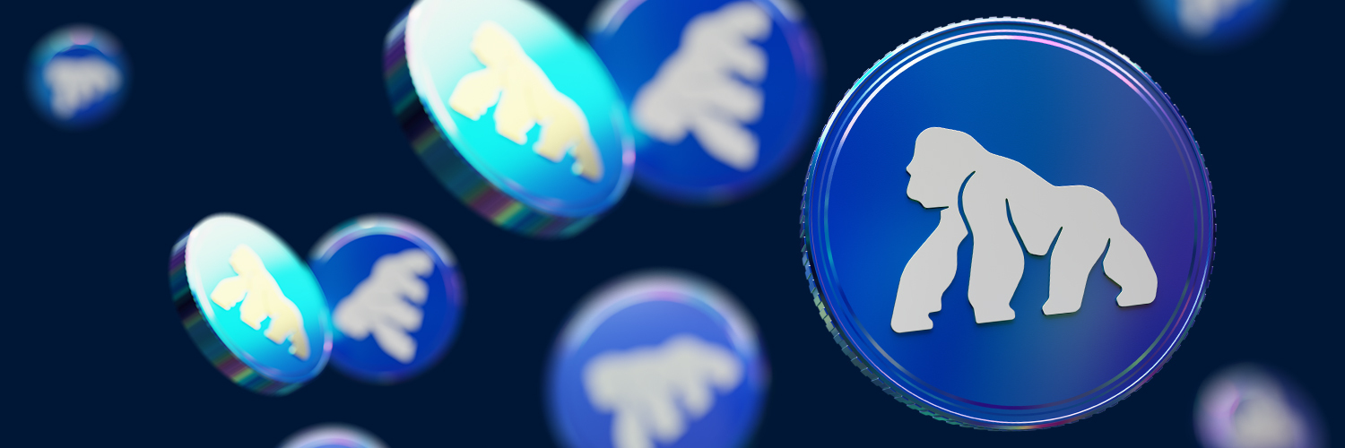 ApeChainHUB's banner