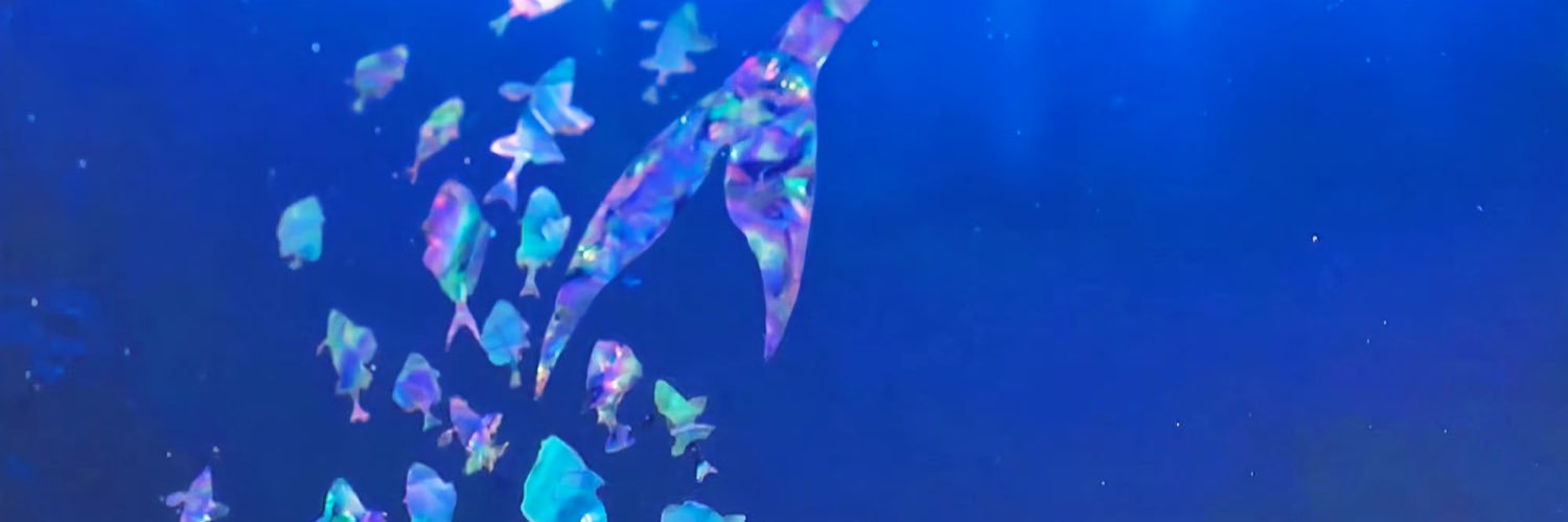 みんみん🐟リモリアの焼き魚's banner