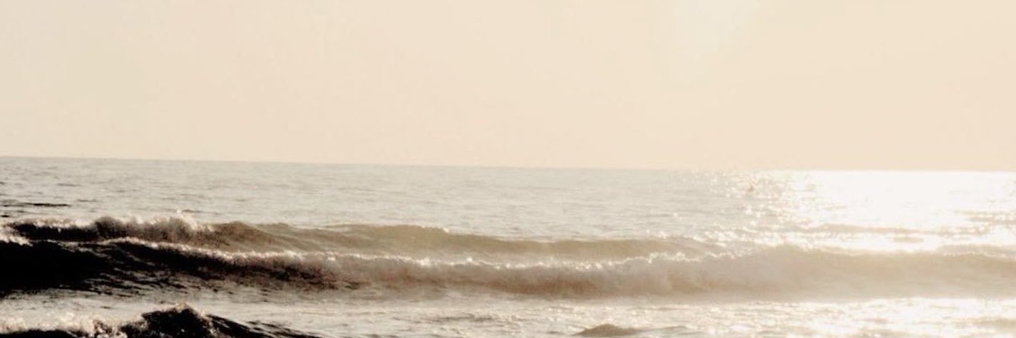 Alexander ⁷'s banner