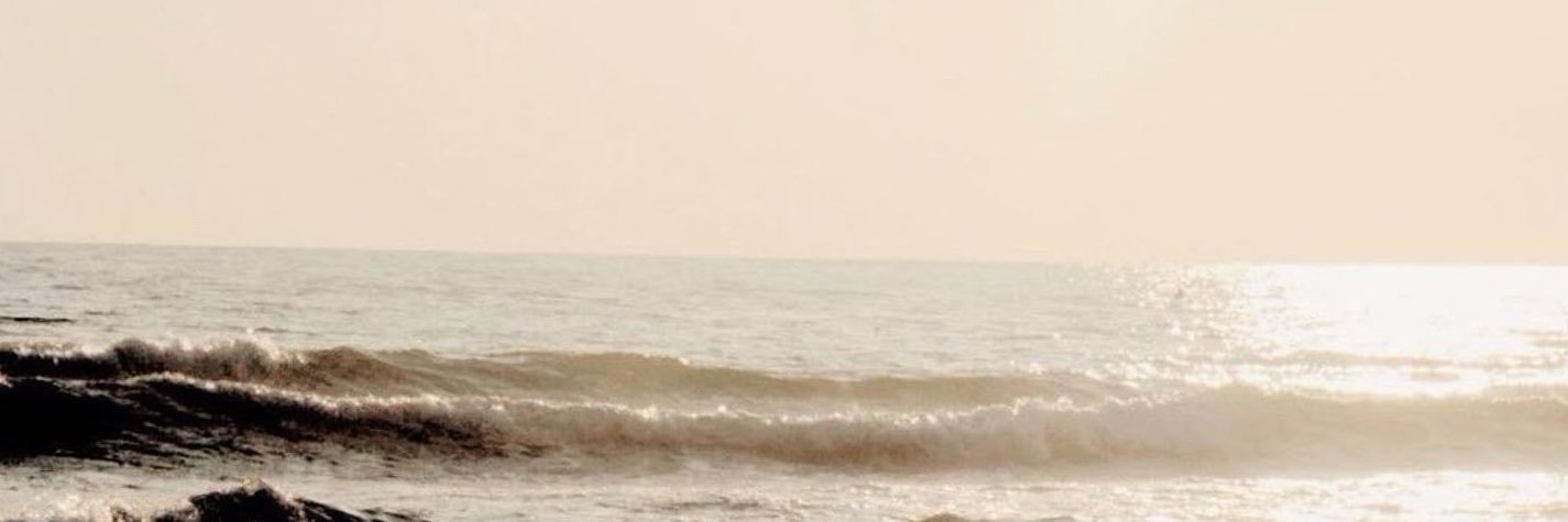 Alexander ⁷'s banner