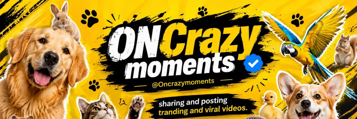 ONCrazy moments's banner