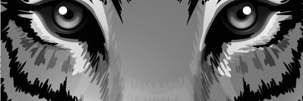 Jasso's banner