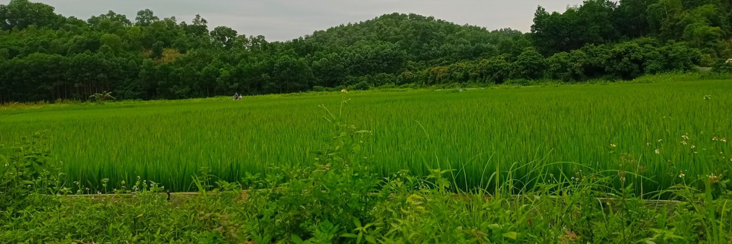 Hắc Liên's banner