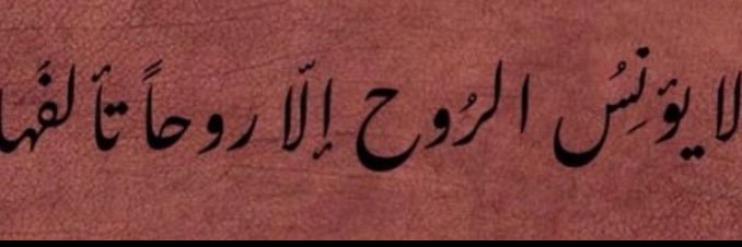 روزالينا ..🌸's banner