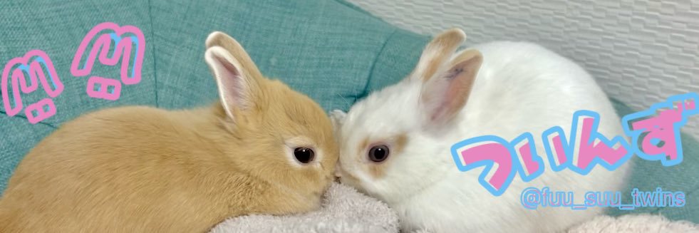 - ̗̀ ꪔ̤ ついんず ꪔ̤ ̖́-'s banner