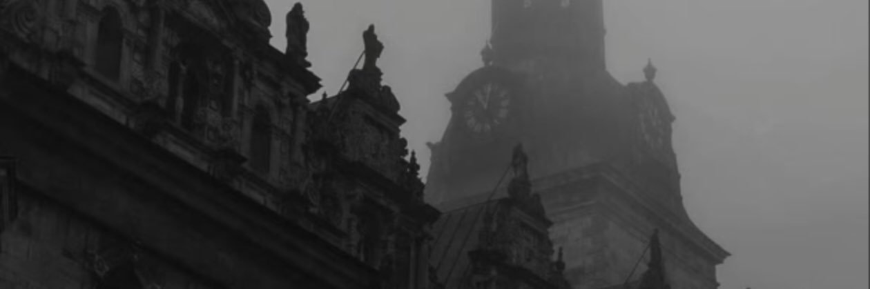 雷龙王's banner