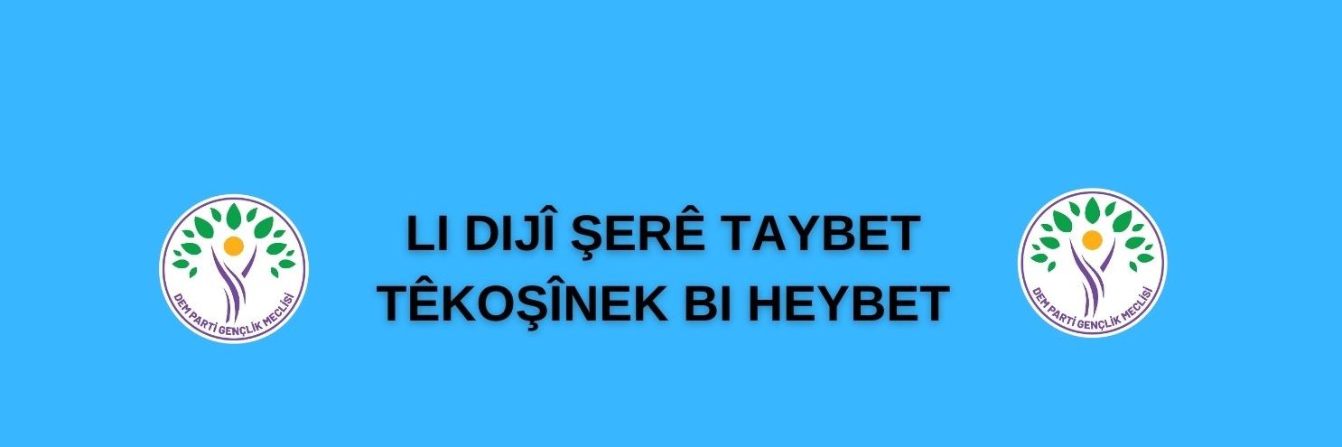 DEM Parti Gençlik Meclisi's banner