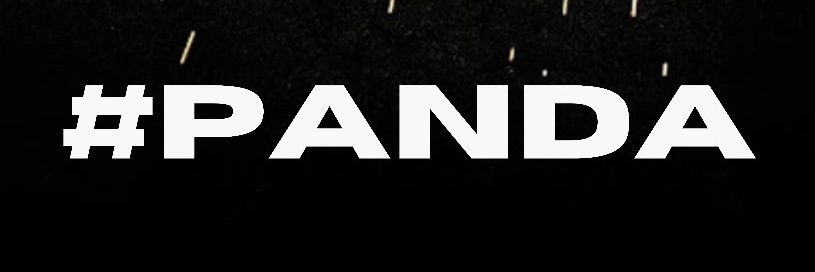 PANDA 🐼 🇯🇵's banner