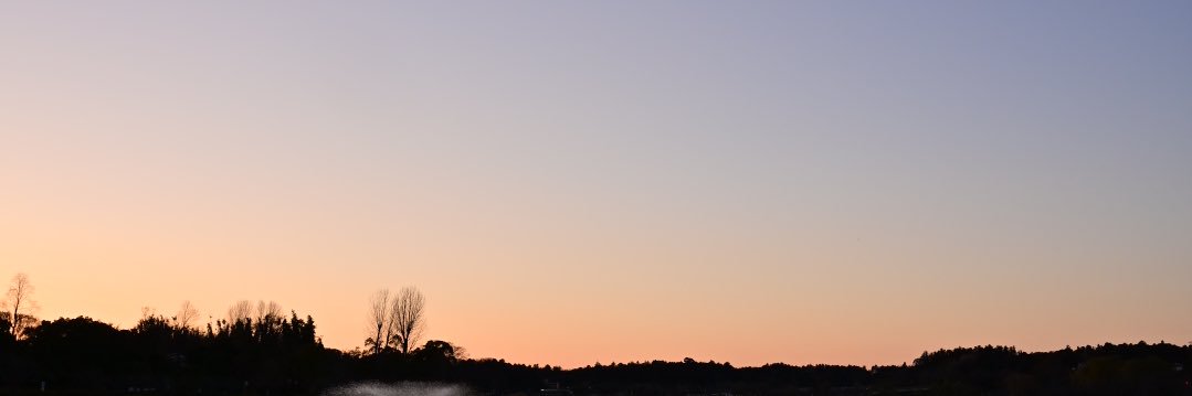 🌸's banner