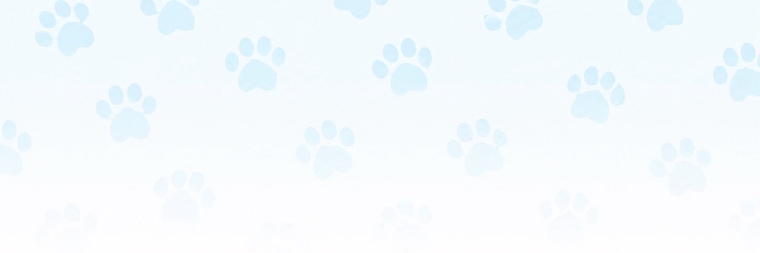 ⋆𐙚₊˚⊹ ♡ 🐾's banner