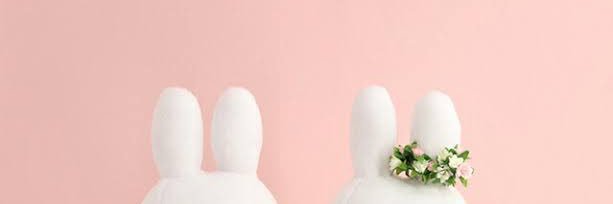 みふぃ☺︎ 🐰🎀's banner