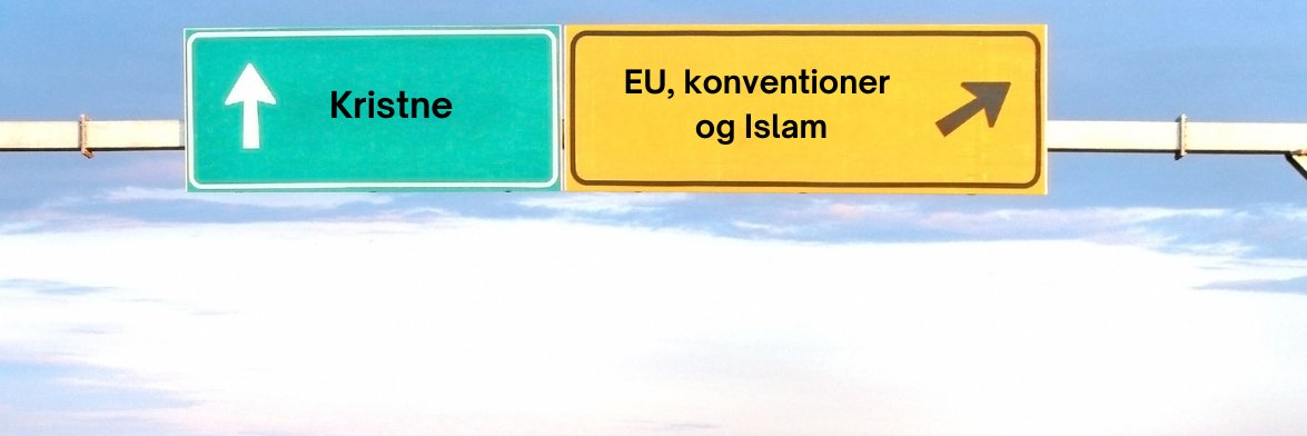 Nickolei Granell's banner