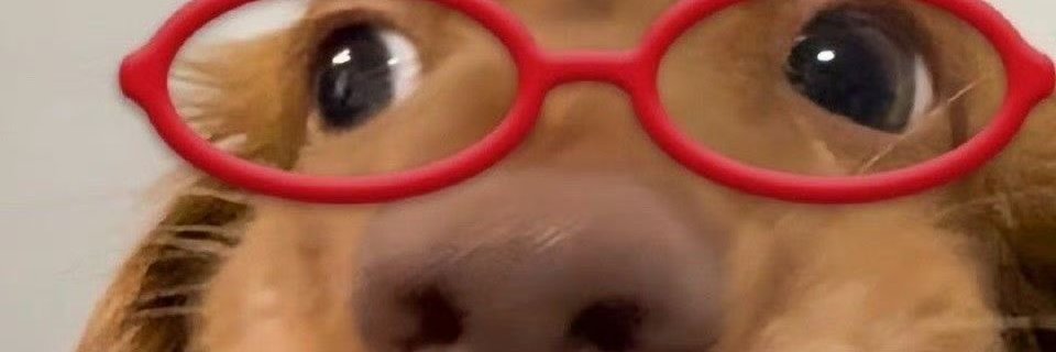 อยากมีแฟน 🐰🥵's banner