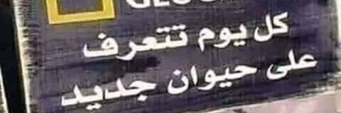 الباشه البصراوي 🚬's banner