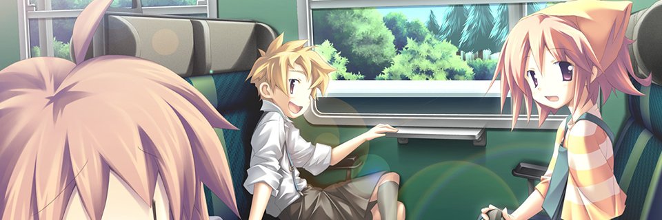 lily's banner