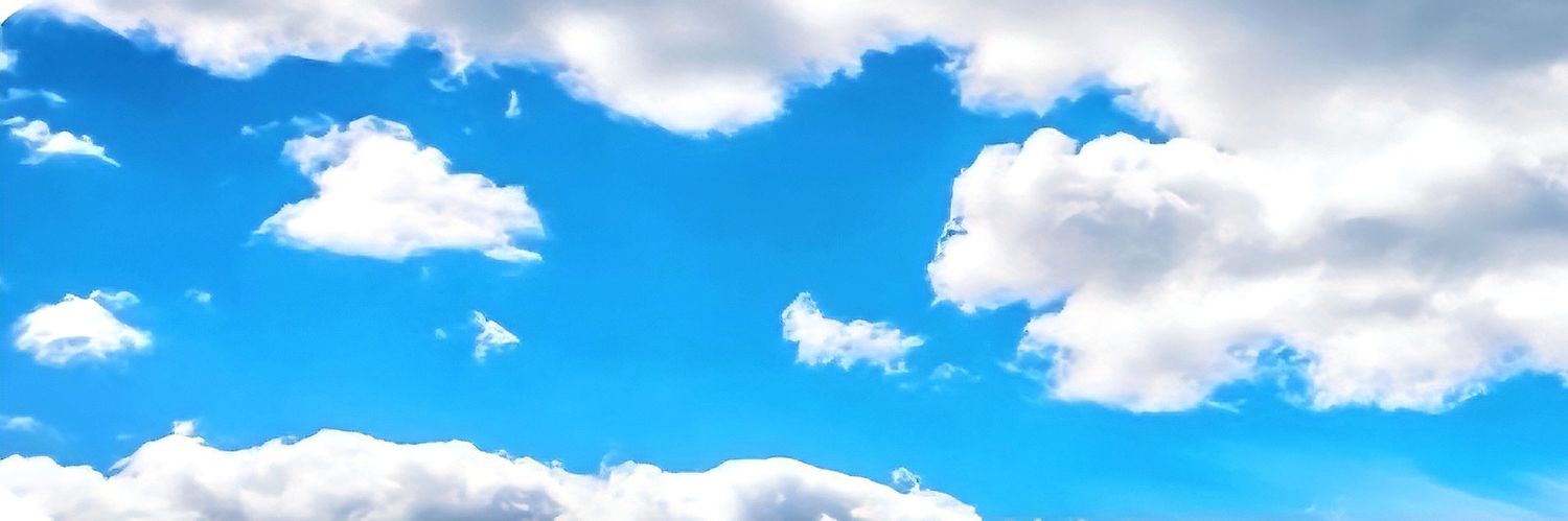 人間清歡's banner